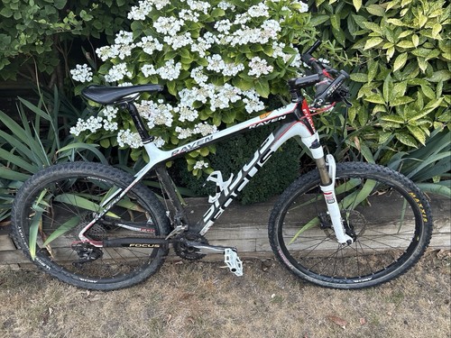 Focus raven 29r carbon - focus,