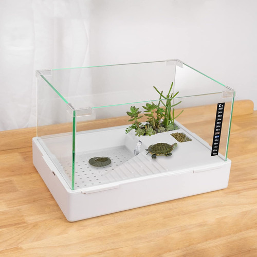 Large glass turtle - glass,