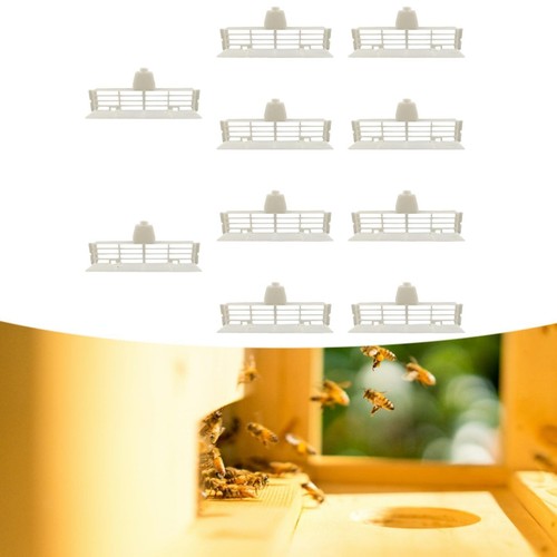 Pieces beehive entrance - 10,