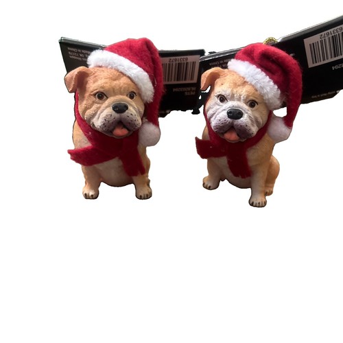 Bulldog wearing santa - bulldog, &