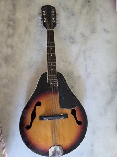 Vintage harmony m100 - vintage,