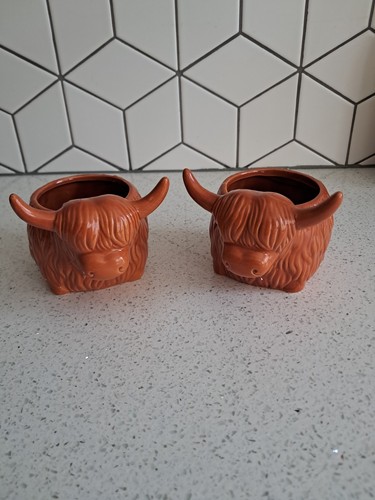 Plant pot highland - , cow