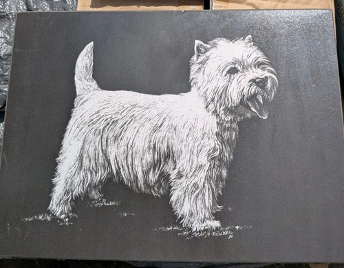 Scratchboard drawing west - drawing, a