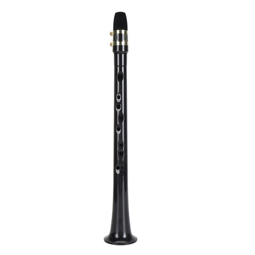 Pocket saxophone with alto - with,