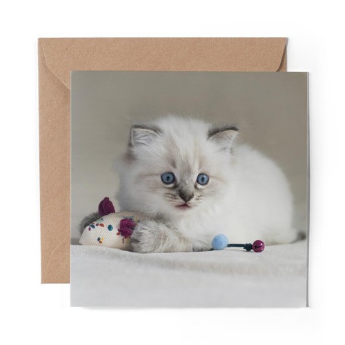 Blank greeting card pretty - blank,
