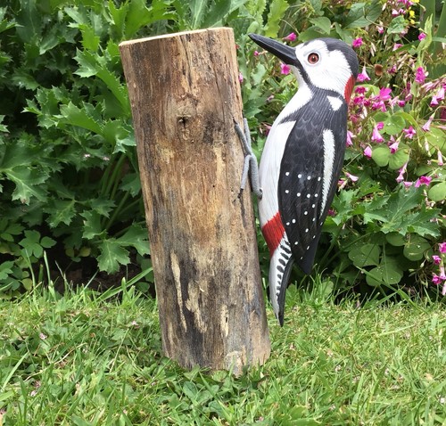 Great spotted woodpecker 21cm - great,