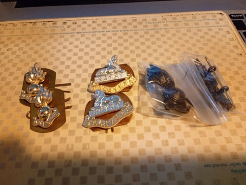 Military collar dogs - collar,