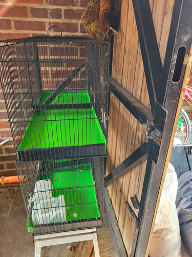 Double breeder cages - breeder,