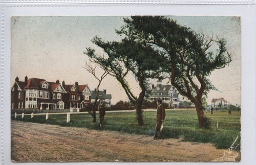 Cricket ground - cricket,