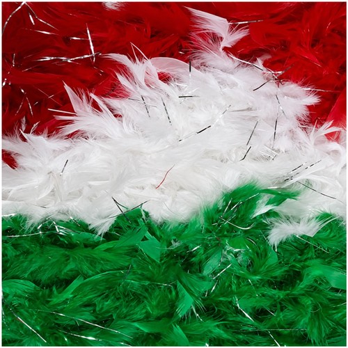Feather boa coloured - 2m,