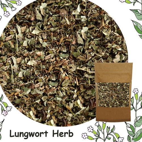 Lungwort herb pulmonaria - (,
