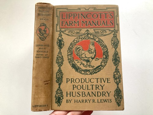 Productive poultry husbandry - poultry,