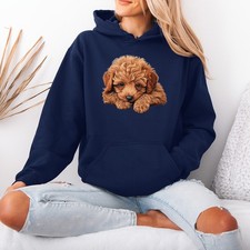 Poodle Mix Puppy Dog Animal