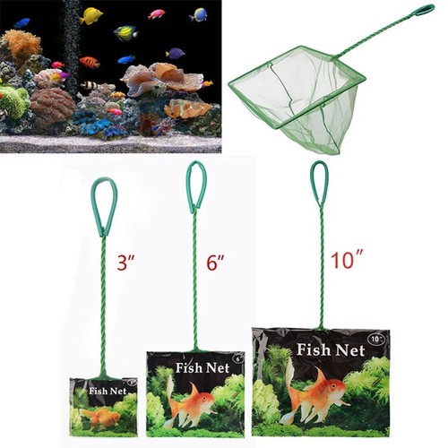 Aquarium fish net - fish, tropical