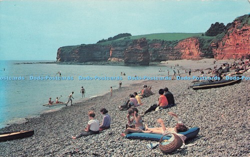 R523565 ladram bay - r523565,