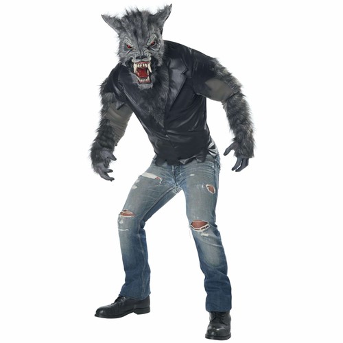 Full moon fury wolf - wolf, werewolf