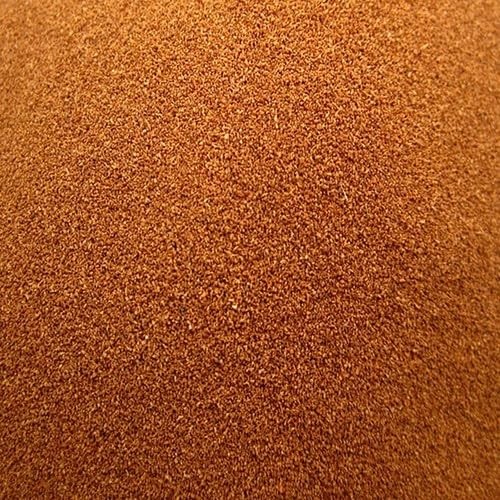 Decapsulated brine shrimp eggs - shrimp,
