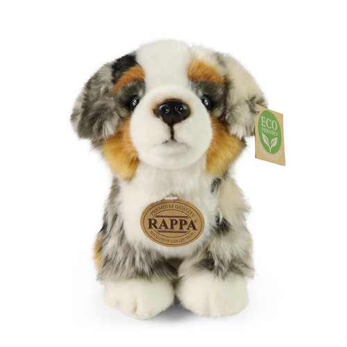 Rappa australian shepherd - australian,