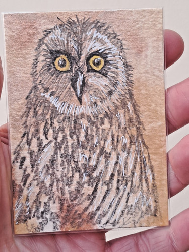 Aceo original not print - not, a
