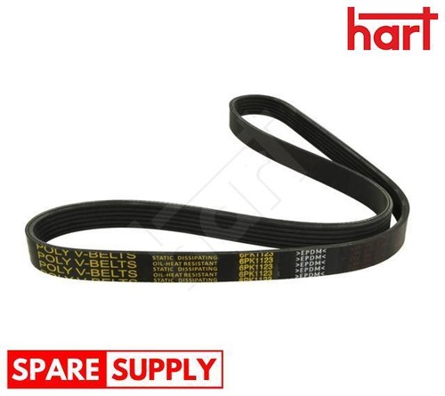 Ribbed belt for beetle - belt,
