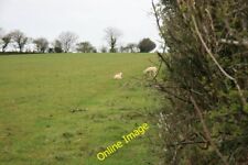 Photo 6x4 Sheep shelter in a field Welltown/SX1367  c2012