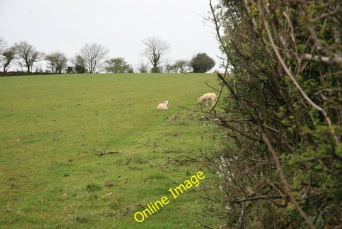 Photo 6x4 sheep shelter - 6x4,