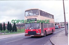 35mm Colour Neg SYT Dennis