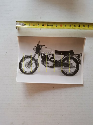 1975 maico 250 photo - md,