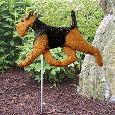 Welsh Terrier Outdoor Garden