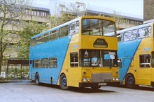Kelvin Central Buses FGE441X
