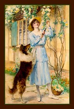 Sheltie Shetland Sheepdog