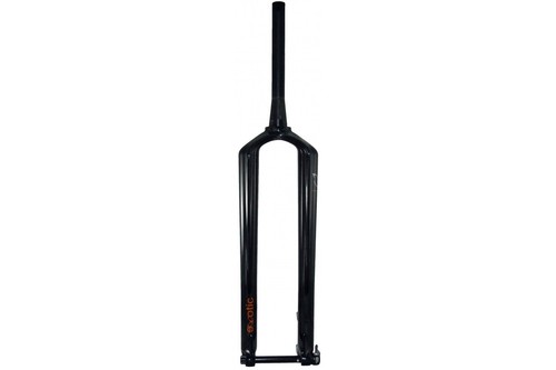 Exotic carbon monocoque - carbon,