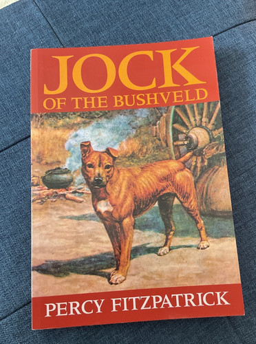 Jock the bushveld percy - jock,