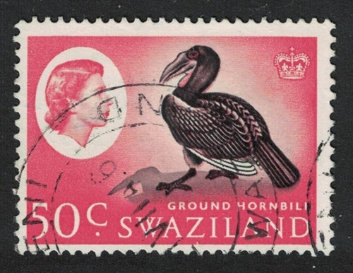 Swaziland bird southern ground - swaziland,
