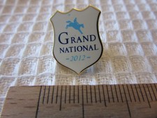 Grand national 2012 - grand,