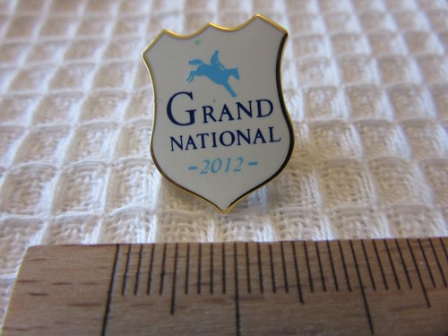 Grand national 2012 horse - grand,