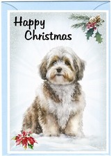 Havanese Dog Christmas Card
