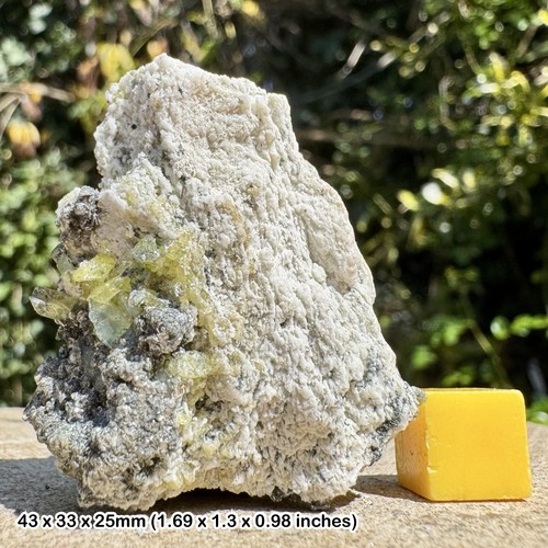 Rare sphene with - (titanite),