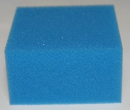 Fine aquarium fish tank - fish,