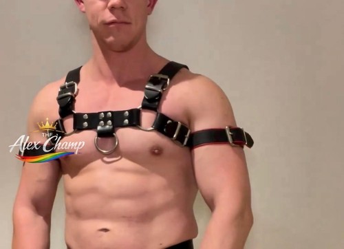 Men leather chest harness - leather,