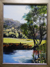 The River Lyd, Lifton Devon