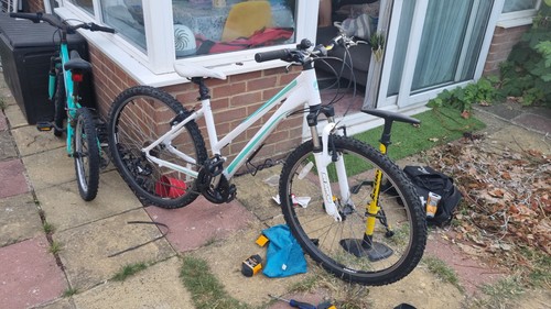 Giant mountain bike - bike, white