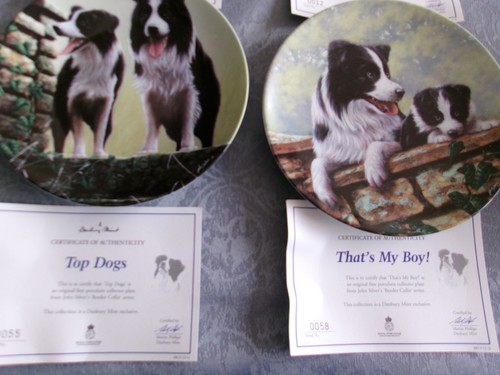 Decorative border collie - border,