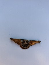 Delta Airlines Junior Pilots Wings
