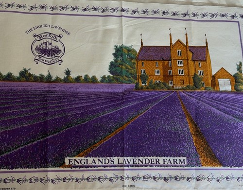 Norfolk lavender tea towel - norfolk,