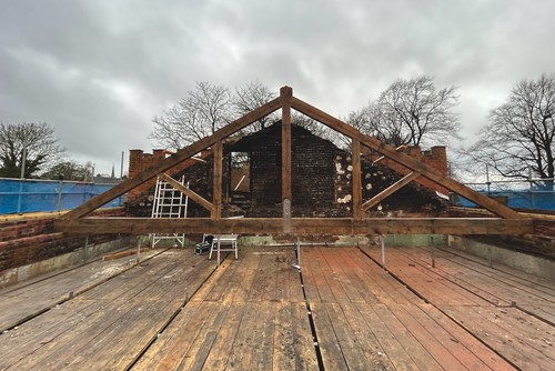 Large span 10m green oak - large,