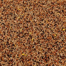 Premium canary seed - mix, food
