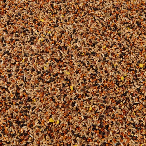 Premium canary seed mix food - mix,