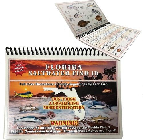 Florida saltwater fish - florida, id