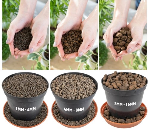 Hydroponic clay pebbles - hydroponic,